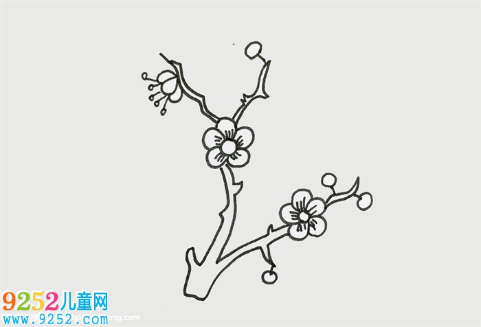 怎么畫(huà)梅花
