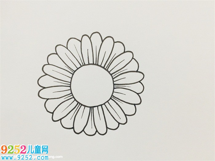 雛菊怎么畫