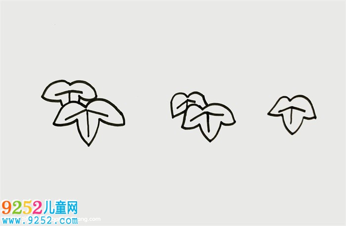 葡萄樹怎么畫