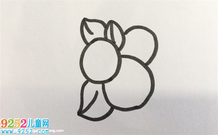 怎樣畫(huà)枇杷