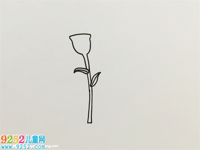 一筆一筆的教畫(huà)康乃馨