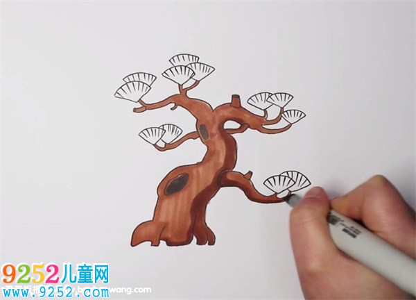 松樹(shù)<a href=http://www.inspiredelm.com/jianbihua/ target=_blank class=infotextkey>簡(jiǎn)筆畫(huà)</a>