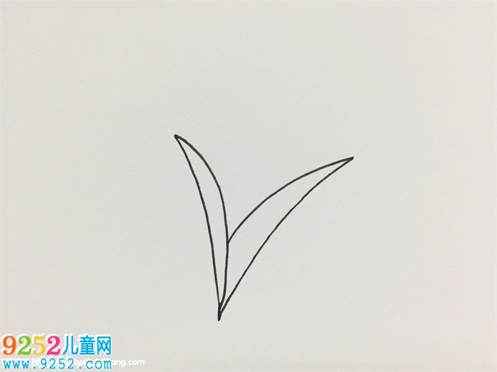 小麥怎么畫最簡(jiǎn)單