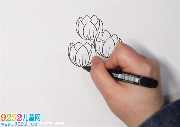 郁金香<a href=http://www.inspiredelm.com/jianbihua/ target=_blank class=infotextkey>簡筆畫</a>