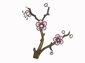 怎么畫梅花？