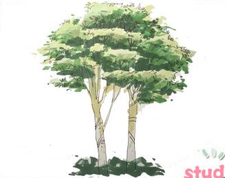 大樹簡筆畫