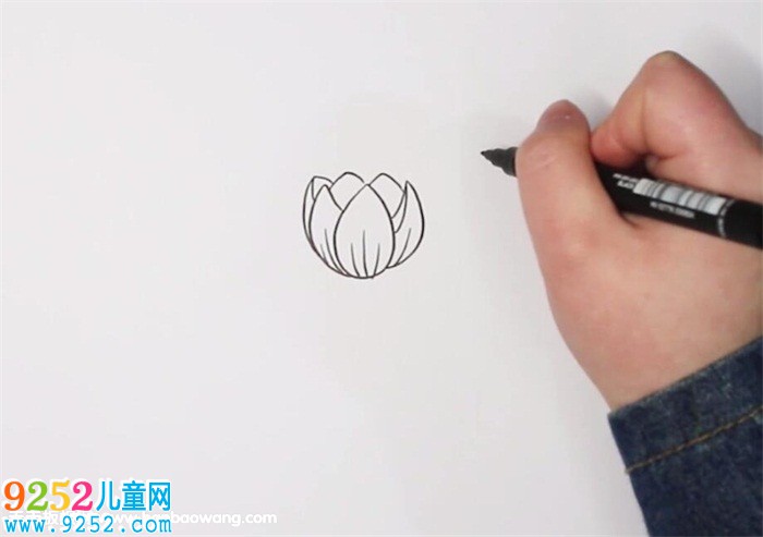 郁金香<a href=http://www.inspiredelm.com/jianbihua/ target=_blank class=infotextkey>簡筆畫</a>