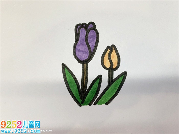 花瓣怎么畫簡(jiǎn)單好看