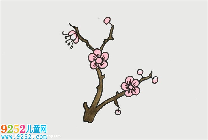怎么畫(huà)梅花