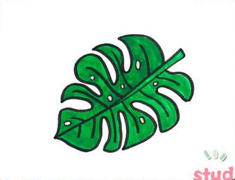 龜背竹簡(jiǎn)筆畫