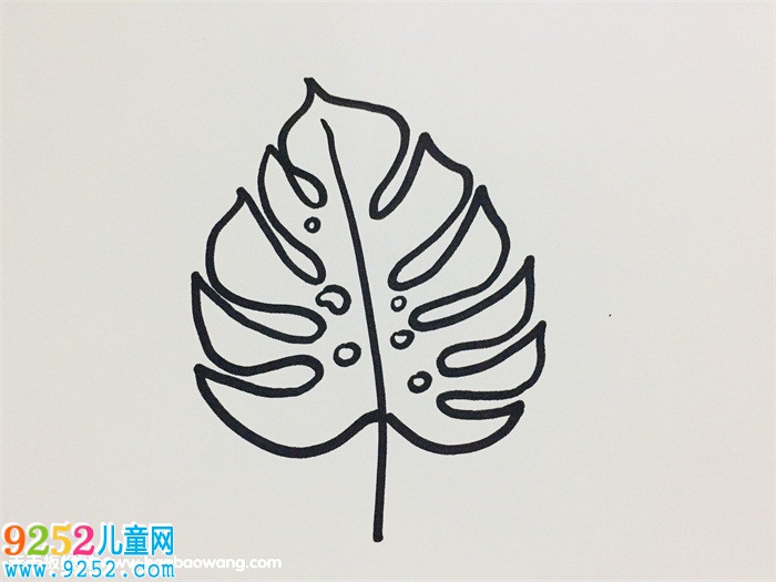龜背竹的畫法