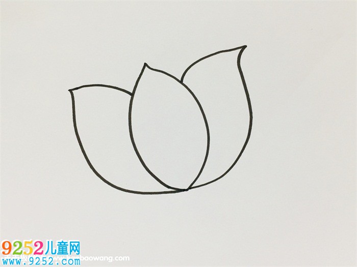 一步一步教我畫(huà)荷花