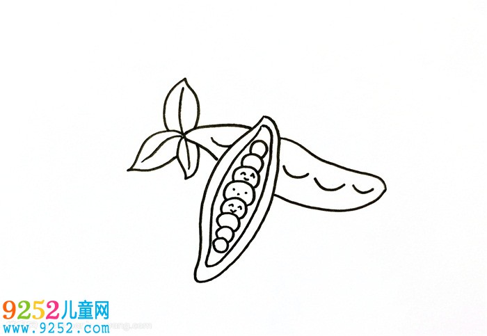 QQ紅包豌豆怎么畫