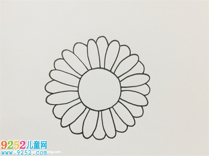 雛菊怎么畫