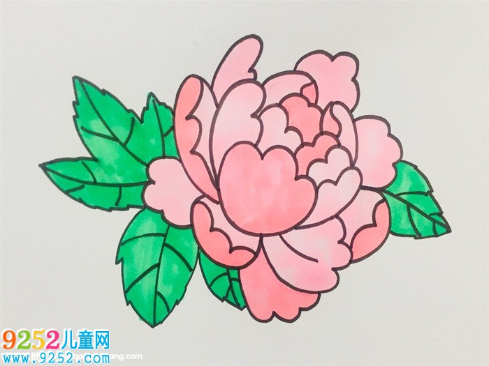 一筆一筆的教畫牡丹花