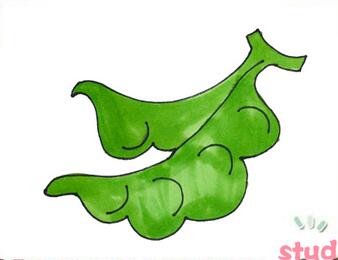 豆角簡(jiǎn)筆畫(huà)