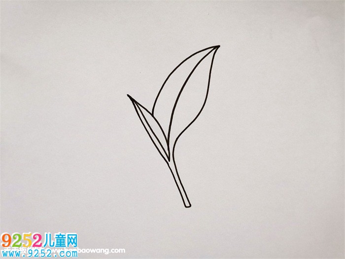 茶葉怎么畫