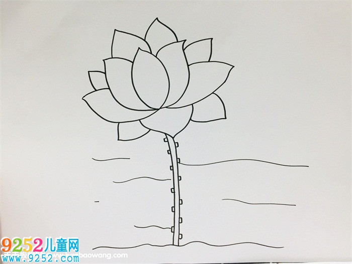 一步一步教我畫(huà)荷花
