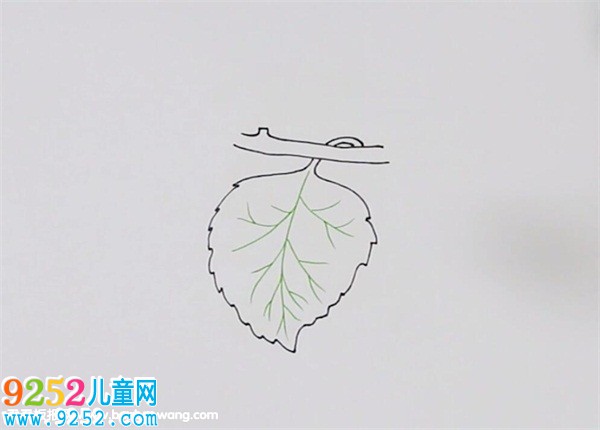 桑葉<a href=http://www.inspiredelm.com/jianbihua/ target=_blank class=infotextkey>簡筆畫</a>