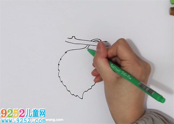 桑葉<a href=http://www.inspiredelm.com/jianbihua/ target=_blank class=infotextkey>簡筆畫</a>