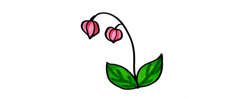 燈籠草怎么畫