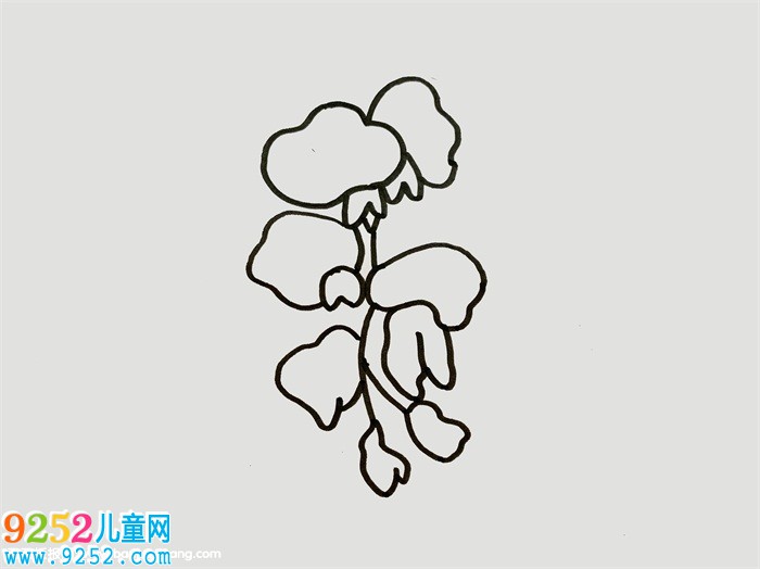紫藤花怎么畫