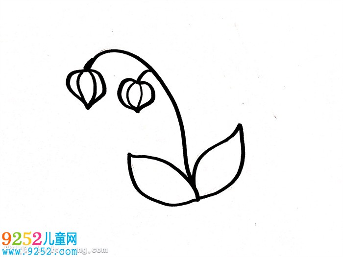 燈籠草怎么畫