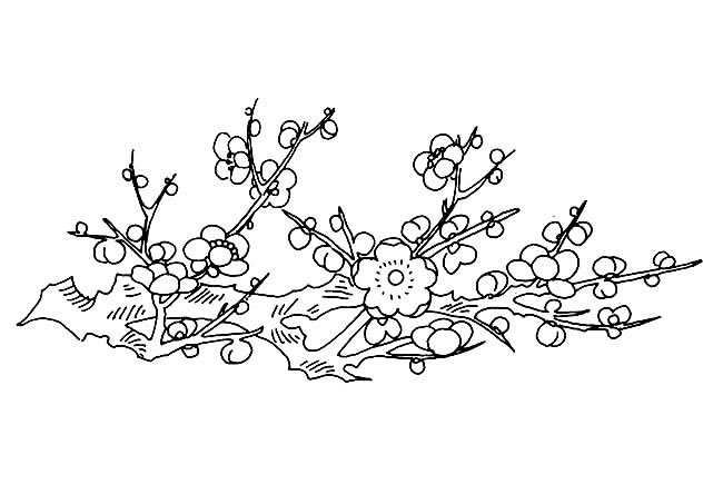 漂亮的簡(jiǎn)筆畫花圖片，滿樹梅花