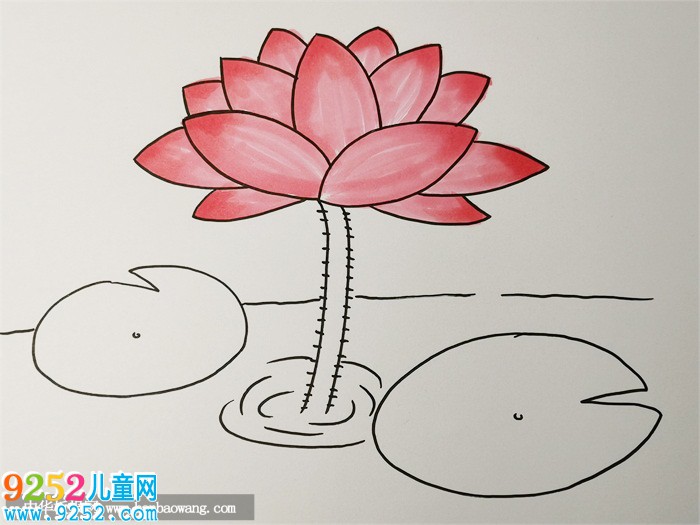 荷花怎么畫簡單又漂亮