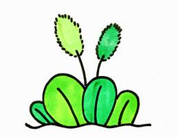 狗尾巴草怎么畫？