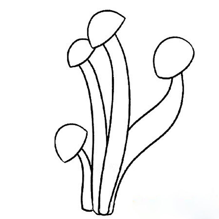 幼兒果蔬簡(jiǎn)筆畫，簡(jiǎn)單的金針菇簡(jiǎn)筆畫