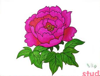 牡丹花怎么畫？