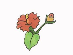 木棉花怎么畫？