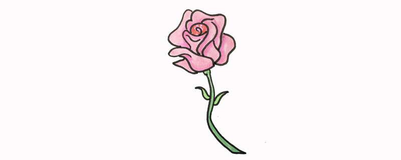 薔薇花怎么畫