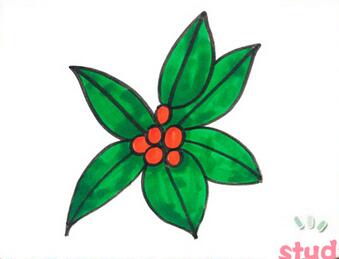 冬青簡(jiǎn)筆畫