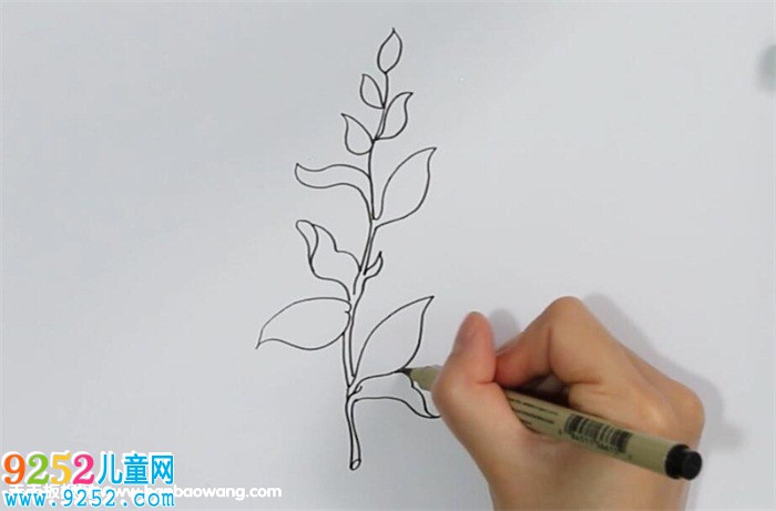 茶葉的畫法