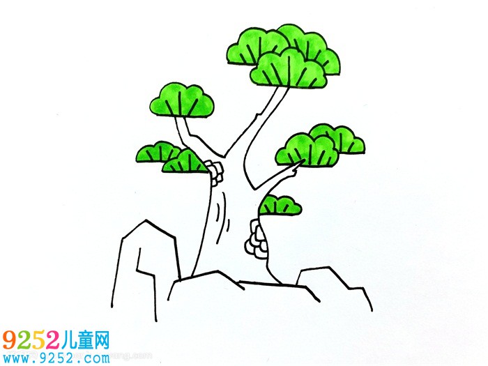 松柏怎么畫