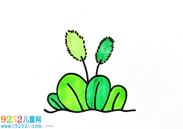 狗尾巴草怎么畫