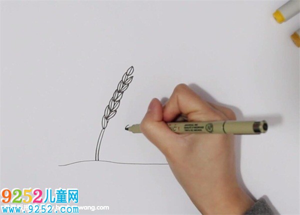 豐收的稻谷<a href=http://www.inspiredelm.com/jianbihua/ target=_blank class=infotextkey>簡筆畫</a>