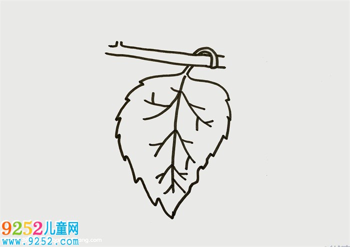 桑葉怎么畫