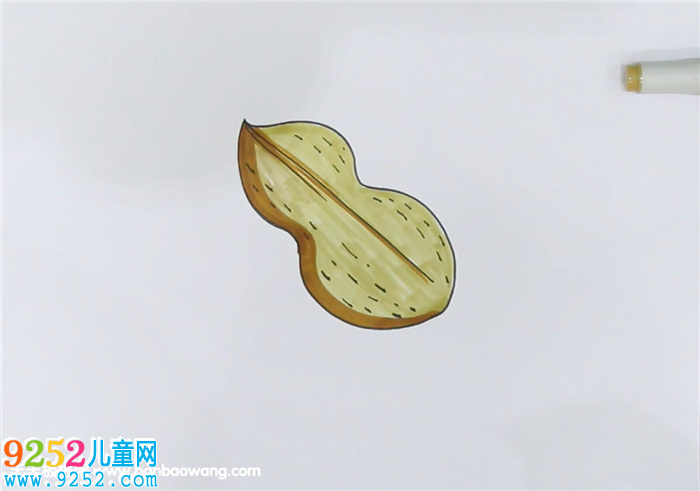 花生<a href=http://www.inspiredelm.com/jianbihua/ target=_blank class=infotextkey>簡筆畫</a>
