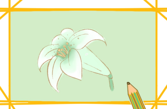 淡雅的百合花要怎么畫_淡雅的百合花簡筆畫圖片一學就會