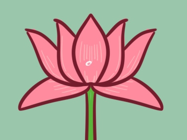 粉色的荷花要怎么畫(huà)_粉色的荷花簡(jiǎn)筆畫(huà)圖片一學(xué)就會(huì)