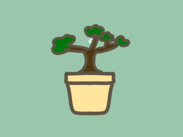 好看的綠植要怎么畫(huà)_好看的綠植簡(jiǎn)筆畫(huà)圖片一學(xué)就會(huì)
