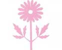 薔薇花、朱槿花