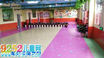 幼兒園優(yōu)秀說(shuō)課稿《各種各樣的樹(shù)》