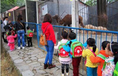 幼兒園小班語言活動(dòng)<a href=http://www.inspiredelm.com/jiaoan/ target=_blank class=infotextkey>教案</a>《比尾巴》