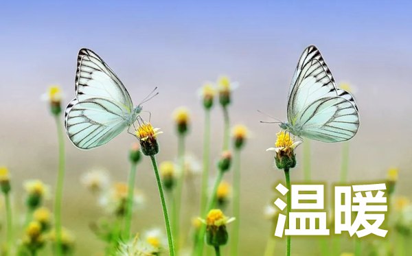 疫情最暖心短句,疫情期間唯美暖心的<a href=http://www.inspiredelm.com/juzi/ target=_blank class=infotextkey>句子</a>