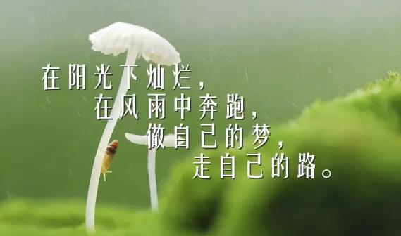 勵志語錄經(jīng)典短句：活著就意味著必須要做點什么，請好好努力