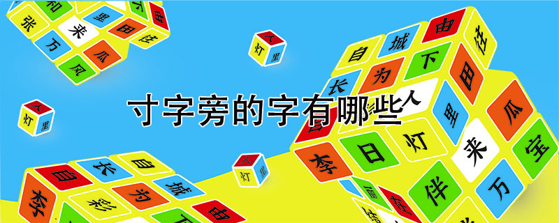 寸字旁的字有哪些